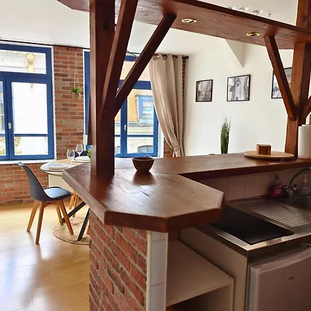 Apartmán Loft In Old With Lovely Terrace Lille